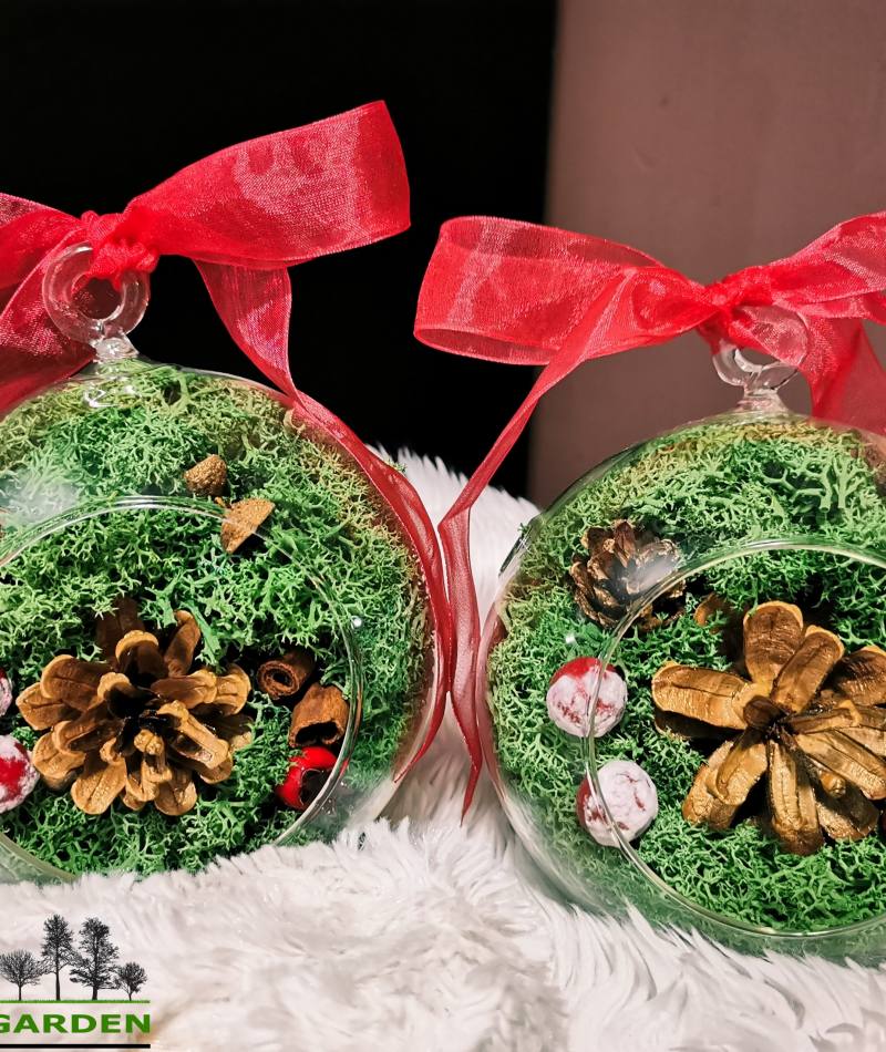 Aranjament de Craciun in glob